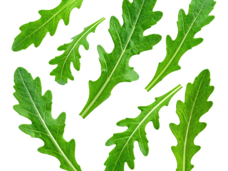 Roquette
