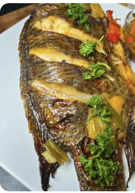Tilapia