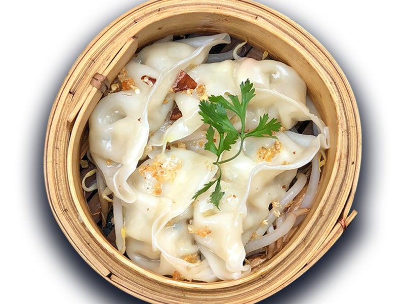 3. Steamed Gyoza x4
